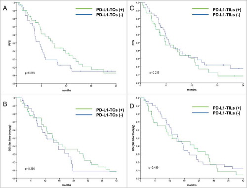 Figure 1. Kaplan-Meier survival curves of progression-free survival (PFS) and overall survival (OS) comparing PD-L1-TC-positive versus negative cases (panel A and B); and PD-L1-TIL-postive versus negative cases (panel C and D).
