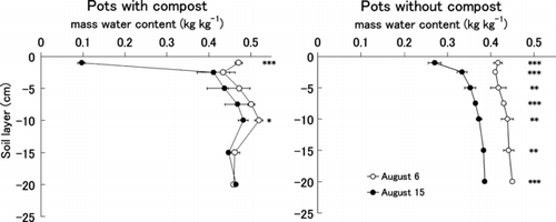 Figure 3 Vertical distributions of the mass water contents in pots with and without compost on 6 and 15 August. *P < 0.05, **P < 0.01, ***P < 0.001 (t-test).