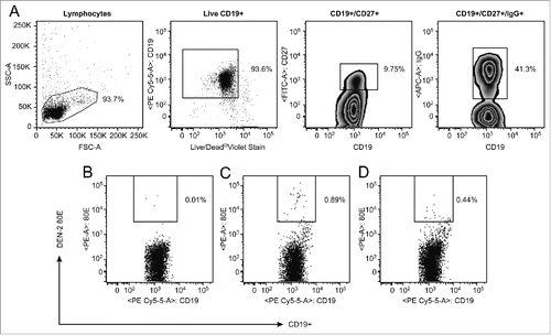 Figure 2. Flow cytometric analysis of PBMC from DD9 After magnetic B cell enrichment, a gate was placed to eliminate debris, followed by a gate on the viable CD19+, then CD27+ followed by surface IgG+. Gated cells were then analyzed for binding to DEN-2–80E (C). Separate stains of the same sample were performed as controls. The cells were analyzed for binding to DEN-2–80E following pre-incubation with 100X concentrated unlabeled DEN-2–80E (D) or analyzed for binding to the secondary SA-PE without DEN-2–80E (B).