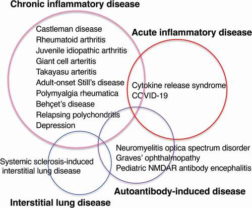 Figure 2. Diseases for which IL-6–targeting therapy has been approved, efficacy has been confirmed in randomized clinical trials, or efficacy has been reported in the case series can be divided into four categories: chronic inflammatory disease, acute inflammatory disease, autoantibody-induced disease, and interstitial lung disease.