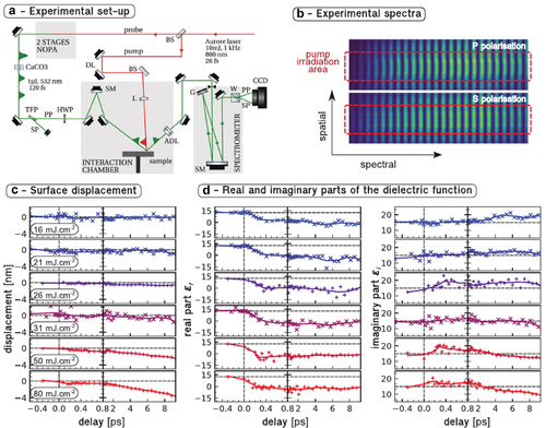 Figure 7. (a) Reflection FDI set-up used to measure the surface displacement and dielectric change of an amorphous 500 nm thick GeTe sample, (b) obtained interferograms, 8.5 ps after photoexcitation with a fluence of 80 mJ/cm2, (c) time-dependent displacement and d) dielectric function change for various fluences. Reprinted with permission from [Citation93].