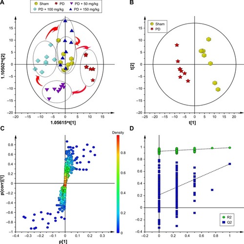 Figure 5 Effect of baicalin on the metabolic profile in the striatum of PD rat model. (A) The metabolic state changed in PD rats; (B) the metabolic profile of the two groups undergone significant changes; (C) the model was valid and could be used for subsequent analysis; (D) load analysis was performed using OPLS-DA and S-plot.