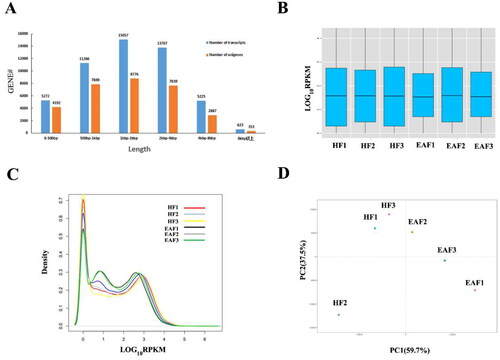 Figure 1. Gene distribution and expression profiles. (A) Length distribution of transcripts and unigenes. (B) Box plot showing overall RPKM expression values of each sample. (C) The RPKM density distribution of unigenes. (D) Principal component analysis (PCA) of the gene expression data (the principal components 1 and 2 accounted for 59.7 and 37.5 of variance).