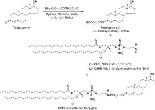 Figure 1.  Synthesis of testosterone-lipid conjugate (T-DSPE).