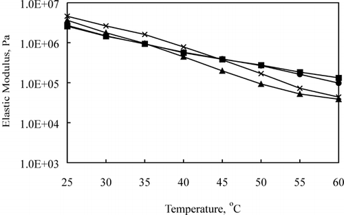 Figure 8. Effect of aging (•: 2, ▪: 4, ▴: 12, × : 24 wk) on elastic modulus (G ′) of 58.1% MNFP Cheddar cheese during heating.