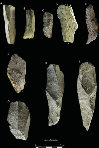 Figure 7. EDAR 134, debitage. A–C) Blades and D–G) debordant flakes and blades; rhyolite. Photos: M. Jórdeczka.