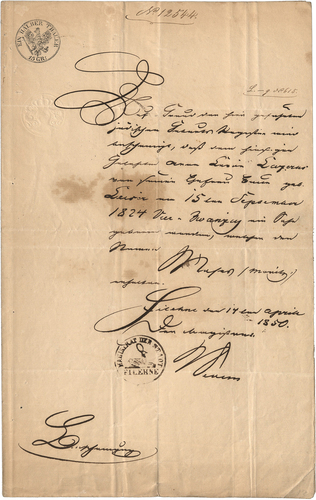 Figure 2. Lazarus’ birth certificate from 1850, ARC. Ms. Var. 298 04 7, file NLI526281_0052.