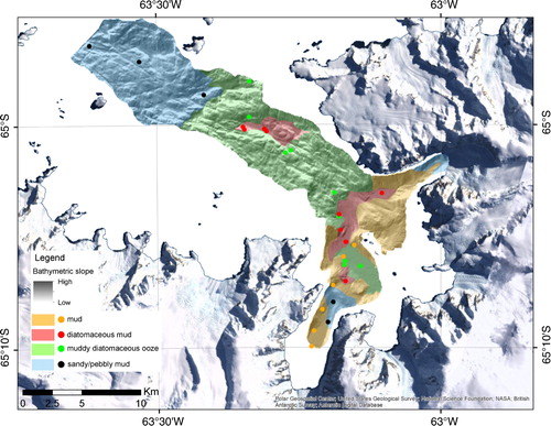 Fig. 6  Sediment distribution in Flandres Bay draped over swath bathymetric data indicating bottom roughness.