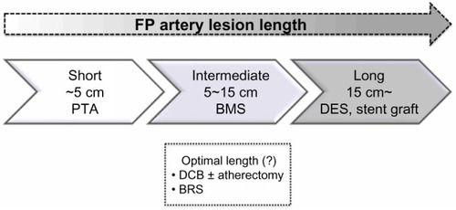 Figure 1 Considered stent type for each femoropopliteal lesion length. Short femoropopliteal lesions up to 5 cm can be treated with PTA, intermediate lesions 5–15 cm should be treated with BMS rather than only PTA, and a DES or stent graft can offer superior patency for longer lesions exceeding 15 cm compared with BMS. Other treatment strategies, such as DCB with/without atherectomy and BRS, are currently under investigation.