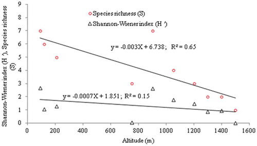 Figure 2. Relationship between altitude, species richness (S) and Shannon–Wiener index (H’).
