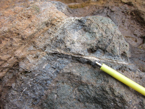 Figure 11. Green-blue rock consisting of Na-amphibole, Na-clinopyroxene, and feldspar produced by fenitisation-type metasomatism observed in contact with carbonatite (pale to medium brown, left upper corner of picture). The late centimeter-thick white vein, cutting green-blue rock, consists of calcite; Aley Nb deposit, British Columbia, Canada.