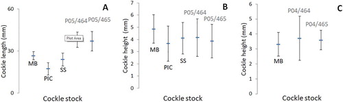 Figure 4. For Hororoa Point cockles, mean size (mm length ± 1 SD) (left), mean second full-year’s growth (mm height ± 1 SD) (middle), and mean third full-year’s growth (mm height ± 1 SD) (right). MB, Middle Bank (December 2018); PIC, Pickmere Channel (April 2019); SS, South Shore (January 2019); middens P05/464 and P04/465 (December 2018, using cockles 25–35 mm long), the length ranges given on the archaeological Site Record Forms being 35–51 mm and 34–54 mm respectively (Table S8).