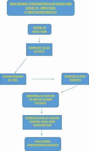 Figure 1. HIGH DEGREE ATRIOVENTRICULAR BLOCK AND COVID-19 INFECTION: A TWO PLAYER MATCH?.