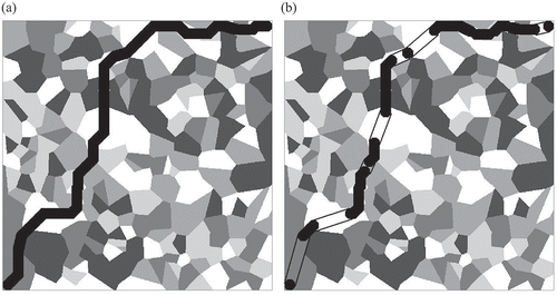 Figure 12. Examples of (a) a corridor (darkly shaded) with a width of 20 cell side lengths generated by Algorithm 0 and (b) a corridor (enclosed by a line) with the same width generated by Algorithm 1 on a patchy cost surface with five classes. Note that in (b) the darkly shaded cells represent corridor segments defined by 8-adjacent octagons