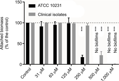 Figure 5 Effect of different concentrations of iodine–thiocyanate complexes on biofilm formation by Candida albicans strains (ATCC 10231 and 6 clinical isolates) after a 5-minute incubation at room temperature in the wells of 96-well polystyrene plate. Biofilm was then evaluated by staining the attached biomass after incubation at 37°C for 24 hours in Sabouraud broth. Data are expressed as the percentage of attached biomass observed in the same conditions after incubation in 0.1 M phosphate buffer (pH 7.4). The different oxidant concentrations were compared with the paired control by ANOVA complemented by a Dunnett’s multiple comparison test (***p < 0.001). Error bars indicate the standard error of the mean (N = 6).