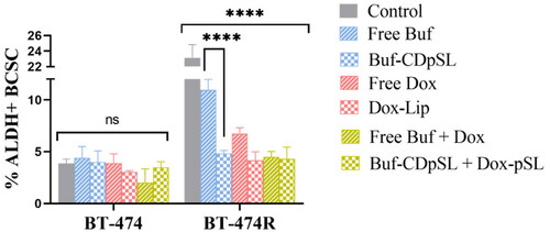 Figure 6. ALDH+ cell populations in BT-474 and Bt-474R measured by an AldeRed™ ALDH detection assay following 24 h exposure to bufalin (Buf; 100 nM) and doxorubicin (Dox; 1 µM) alone or in combination as free drug(s) or loaded in pSL, with untreated cells as controls. Data are mean ± SD (n = 3 independent experiments). ns: not statistically different by ANOVA; ****p < 0.0001.