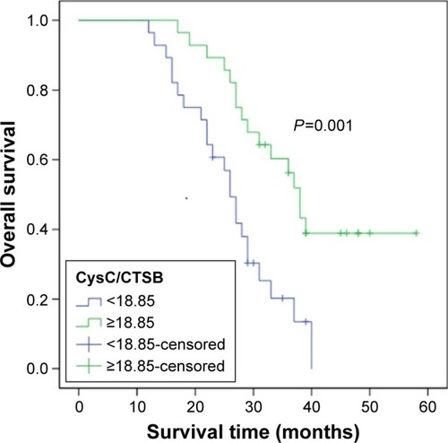 Figure 1 Kaplan–Meier curve of overall survival for patients with low and high levels of CysC/CTSB.