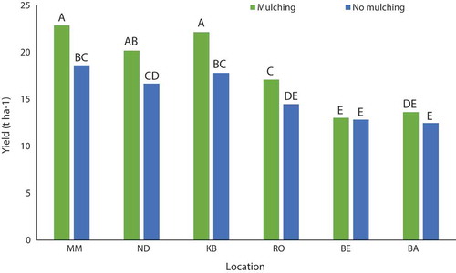 Figure 8. Effect of mulching/no mulching on bitter-gourd yield in 2016 in six different sites: Mahadevsthan Mandan (MM), Nayagaun-Deupur (ND), Kalchhebesi (KB), RabiOpi (RO), Bela (BE), and Baluwa (BA). M stands mulching and NM for no mulching practice. Average yield with the same letter among the sites is not significantly (p < 0.001, LSD) different by treatments.