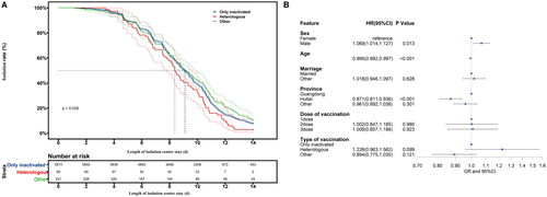 Figure 3. Impact of vaccine dose and type on isolation within 14 days. (A) Comparison of isolation rates for different vaccine doses and types during isolation. Blue curve represents the isolation rate among patients who received only inactivated vaccine, red curve displays the isolation rate among patients who received heterologous vaccination and green curve represents the isolation rate among patients who received other regimens. (B) Odds of discharge within 14 days for different vaccine doses and types.