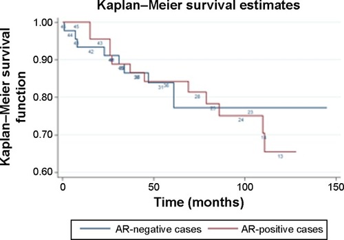 Figure 2 Kaplan–Meier overall survival curves for AR-positive and AR-negative cases.