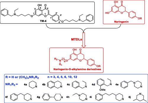 Figure 1. The design strategy of naringenin-O-alkylamine derivatives.