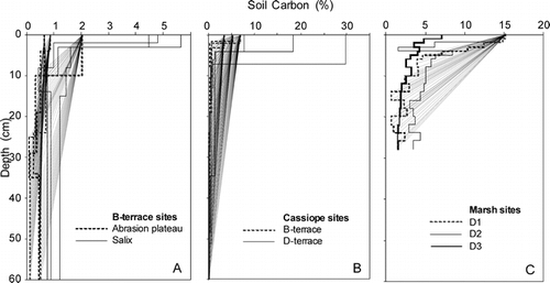 FIGURE 3.  Concentration profiles of SOC at A: contrasting vegetation types on terrace B, and B: Cassiope heath sites at two different terraces and C: marsh sites representing a gradient from D1 to D3
