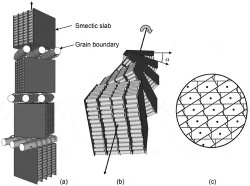 Figure 21. Grain boundary between two adjacent smectic slabs. The helical structure shows the smectic slabs and the grain boundaries pointing down the page in (a), and across the page coming to the viewer in (b). The array of equidistant screw dislocations, shown as dots, arranges the smectic layers into ribbons or columns in a direction perpendicular to the figure for two smectic slabs (c).