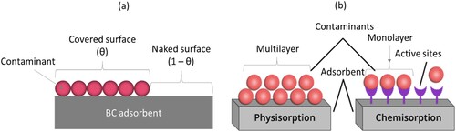 Figure 6. Adsorbent contaminant surface interaction: (a) surface coverage by contaminant adsorption and (b) physisorption and chemisorption.