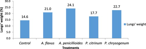 Figure 1. Percentage pooled effect of lung weight of fungi inoculated in balb/c mice.