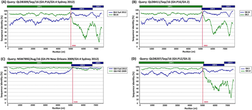 Fig. 5 Simplot analysis of novel norovirus recombinant strains.Representative sequences of emerging viruses were subjected to full-length genome sequencing and analysed using Simplot for the identification of recombination breakpoints. For all recombinant strains, a single breakpoint was identified at the ORF1/ORF2 overlap region. a Simplot for recombinant strain GII.P16/GII.4 Sydney 2012 (QLDB309/Sep/16, GenBank accession number KY905335) with a breakpoint identified at nucleotide position 5066. b Simplot for recombinant strain GII.P16/GII.2 (QLD411/Sep/16, GenBank accession number KY905336) with a breakpoint identified at nucleotide position 5062. c Simplot for recombinant GII.P4 New Orleans 2009/GII.4 Sydney 2012 (NSW789Z/Aug/16 (GenBank accession number KY905331) with a single breakpoint identified at nucleotide position 5101. d Simplot for recombinant GII.P12/GII.3 (QLDB207/Sep/16, GenBank accession number KY905334) with a breakpoint at nucleotide position was 5023. The breakpoint positions are shown by red lines. Each analysis used a window size of 300 nt and a step size of 5 nt. The reference strains used are as follows: GII.4 Syd 2012 for NSW0514/2012/AU (GenBank accession number JX459908), GII.4 NO 2009 for NSW001P/2008/AU (GenBank accession number GQ845367), GII.3 for HK71/1978/CHN (GenBank accession number JX846924), GII.12 for 04-179/2005/JP (GenBank accession number AB220922), GII.16 for Neustrelitz260/2000/DE (GenBank accession number AY772730) and GII.2 for KL109/1978/MYS (GenBank accession number JX846925)