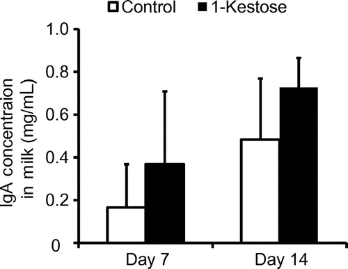 Fig. 1. Effects of dietary supplementation with 1-kestose on total IgA concentration in mouse milk.Notes: Enzyme-linked immunosorbent assay was used to measure the total IgA concentration in milk samples that had been collected from maternal mice that were fed a control diet (n = 11) or a diet supplemented with 1-kestose (n = 7) at 7 and 14 days after delivery. Data are expressed as mean ± SD values. A two-way ANOVA with repeated measures showed significant effects of 1-kestose supplementation and measurement day during lactation (p < 0.05), with no interaction between factors.