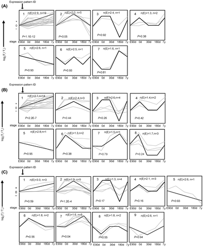 Fig. 1. The trends of 30 mRNA were divided into groups according to their dynamic expression patterns at the age of embryonic day 90 (E90d), postnatal day 0 (0d), day 30 (30d), day 180 (180d), and 7 years (7y) for (A) cardiac muscle, (B) longissimus dorsi Muscle, and (C) psoas major Muscle.Notes: The dashed line indicates no change in expression at different age stages. The number in the top left corner of each square indicates the expression pattern ID. The blank, bold lines in the squares are trendlines of the expression patterns, and the gray lines represent gene expression from embryonic day 90 to 7 years postnatally. The p value is the corrected p value between the number of genes expected (n(E)) and the number of genes assigned (n), with p values < 0.05 considered to be statistically significant. Four other expressions were normalized to the highest one in four stages firstly, and then all expressions were log2-transformed.