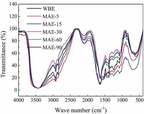 Figure 5. FTIR results of rabbit skin gelatin extracted by WBE and MAE. WBE: gelatin obtained by water bath extraction; MAE-5, MAE-15, MAE-30, MAE-60, and MAE-90: gelatin obtained by microwave-assisted extraction with an extraction time of 5, 15, 30, 60, and 90 min, respectively