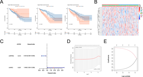 Figure 2 Correlation analysis of RNA methylation regulatory genes and prognosis. (A) Kaplan-Meier survival curve analysis showed the correlation between T, N, M stage and prognosis. (B) Heat map showing the correlation between RNA methylation genes and T, N, M staging. (C) Forest map of RNA methylation regulation genes by univariate Cox analysis. Red dots represent risk factors and blue dots represent protective factors. (D) The cross-verification results of tuning parameter (lambda) selection in the LASSO model. (E) LASSO coefficient profiles of two model genes. Each curve represents the changing trajectory of each independent variable coefficient. The ordinate is the value of the coefficient, the lower abscissa is log (lambda), and the upper abscissa is the number of non-zero coefficients in the LASSO model.