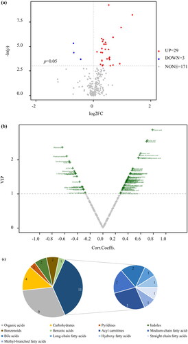 Figure 5. Differential metabolites in umbilical cord serum samples. (a) Volcano plot based on univariate analysis. (b) Volcano plot of OPLS-DA model. (c) Classification of differential metabolites.