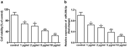 Figure 1. miR-296-5p is downregulated in IL-1β-treated NHAC-kn cells.