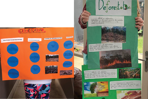 Figure 7. Individual student projects exploring global food topics.