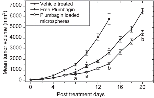 Figure 5.  Tumor growth inhibition by intramuscular injection of free plumbagin and optimized encapsulated chitosan microspheres formulation (F6) in tumor-bearing C57BL/6J mice. Murine B16F1 melanoma cells (5 × 105) were inoculated subcutaneously on the dorsal side of the mice and the experiment commenced once the tumor reached 100 ± 10 mm3. The animals were administered intramuscularly with vehicle (0.5% w/v sodium carboxymethyl cellulose in saline), free plumbagin, and F6 formulation on 1st, 3rd and 7th day at a dose of 6 mg/kg body weight. The data represents the mean of eight animals ± SD. Significant levels: * p < 0.001 compared with vehicle-treated group, a p < 0.05 compared to free plumbagin-treated group, b p < 0.001 compared to free plumbagin-treated group.