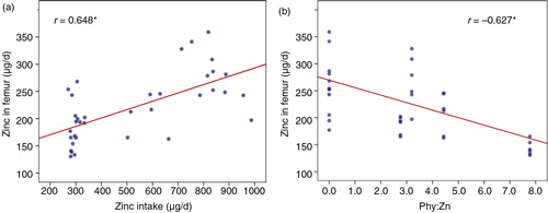 Fig. 2 Zinc in femur as indicator of zinc bioavailability: (a) correlation with zinc intake and (b) correlation with Phy:Zn intake. *Significant correlations, p=0.01.