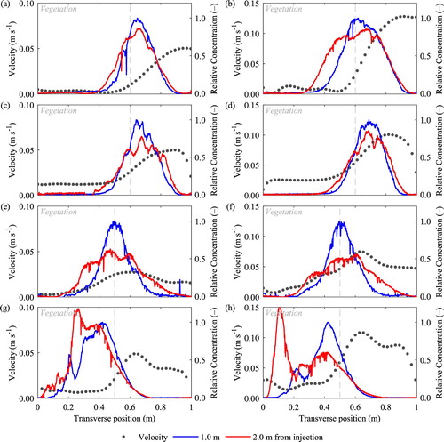 Figure 3 Transverse velocity and concentration profiles at Q = 3.4 × 10−3 m3 s−1 (left) and Q = 7.5 × 10−3 m3 s−1 (right) for (a, b) low-density artificial vegetation; (c, d) high-density artificial vegetation; (e, f) winter Typha; and (g, h) summer Typha