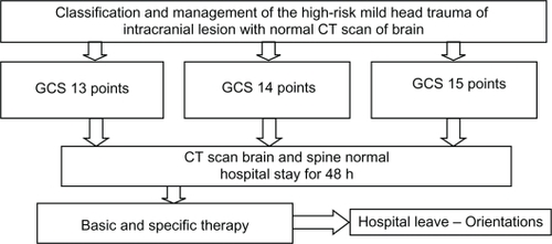 Figure 3 Patients with high-risk mild head trauma and normal first computed tomography scan of the brain.
