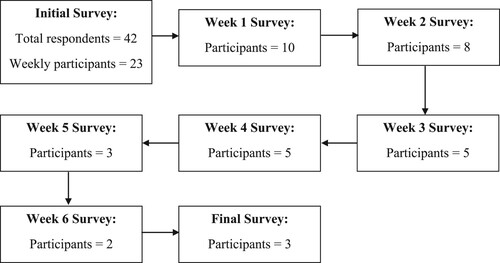 Figure 1. Flow chart of the number of participants for each survey.