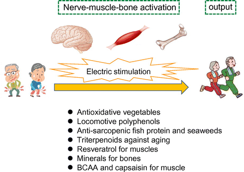 Figure 3. Program of food for locomotion in Platform II.