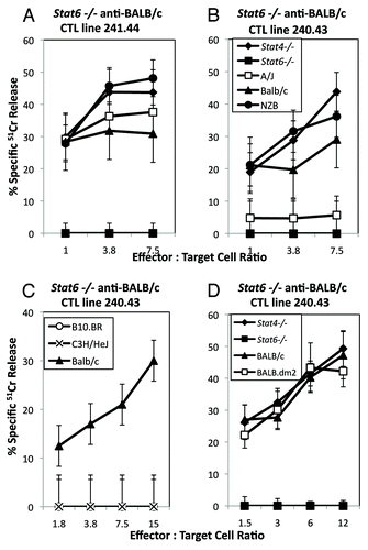 Figure 2.Stat6−/− anti-Stat6+/+ responses are H2-Kd and H2-Dd or -Ld restricted. Stat6 −/− anti-BALB/c CTL lines (A) 241.44, (B–D) 240.43 were incubated with target cells from H2d, or H2k expressing mouse strains in a standard 51Cr release assay. CTL line 241.44 (A) (H2-Dd and -Ld-restricted) lyses A/J (H2-Kk, -Dd and -Ld) target cells, whereas CTL line 240.43 (B) (H2Kd-restricted) did not lyse A/J or (D) BALB.dm2 (H2KdDd). Neither line lysed H2k target cells (C, data not shown). Data are the mean ± SD of triplicate assays and are representative of two or more experiments.