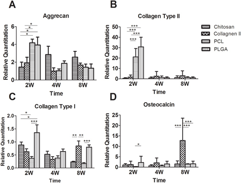 Figure 9. The gene expression of cell-constructs harvested from an in vivo bioreactor at 2, 4 and 8 weeks. The mRNA level of cell-constructs was analyzed with a chondrogenic gene marker (aggrecan (A) and collagen type II (B)) and osteogenic gene marker (collagen type I (C) and osteocalcin (D)), n = 5. ∗p < 0.05, ∗∗p < 0.01, ∗∗∗p < 0.001.