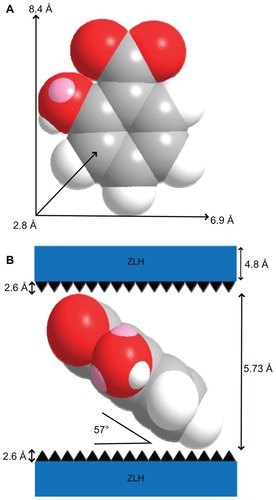 Figure 2 Molecular structure and three-dimensional molecular size of salicylic acid (A) and spatial orientation of salicylate anions in the inorganic interlayers of salicylate-zinc layered hydroxide (ZLH) nanohybrid (B).