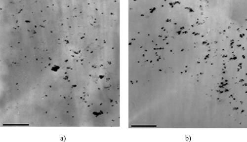 Figure 4. TEM image for the obtained silver colloids in sample E3 (a) and E4 (16,000× magnification).