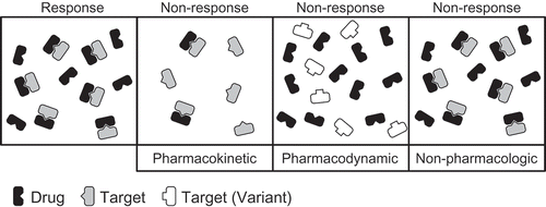 Figure 2. Contributors to interindividual variability in drug response. This highly simplistic illustration highlights the three major factors believed to drive interindividual variability in drug response. In the response category, sufficient drug is present and it adequately engages its target resulting in clinical response to the drug. In the pharmacokinetic non-response category, an insufficient quantity of drug is present to completely engage its target resulting in sub-optimal response. In the pharmacodynamic non-response category, sufficient drug is present but it is unable to adequately engage its target because of a variation in the target, resulting in failure to respond. Finally, in the non-pharmacologic non-response category, sufficient drug is present and the target is adequately engaged, yet an individual fails to respond to the therapy. This variability is most likely reflective of the heterogeneity of the disease, with different biochemical pathways driving the disease process.