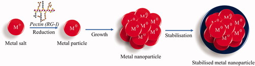 Figure 2. Mechanism of pectin synthesising metallic nanoparticles.