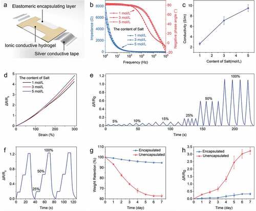 Figure 4. Electrical property characterization of the ionic conductive hydrogel. (a) Schematic of the testing sample. (b) Impedance spectra of the ionic conductive hydrogel samples. (c) Effect of salt content on the conductivity of the hydrogel samples. (d) Relation between strain and resistance change. (e) Dynamic cyclic tests with different amplitude of tensile strains. (f) One cycle of strain sensing performance characterization from 0% to 25%, 50%, and 100%, and then back to 0%. (g) The comparison of weight retention between encapsulated and unencapsulated sensors. (h) The comparison of resistance shift between encapsulated and unencapsulated sensors